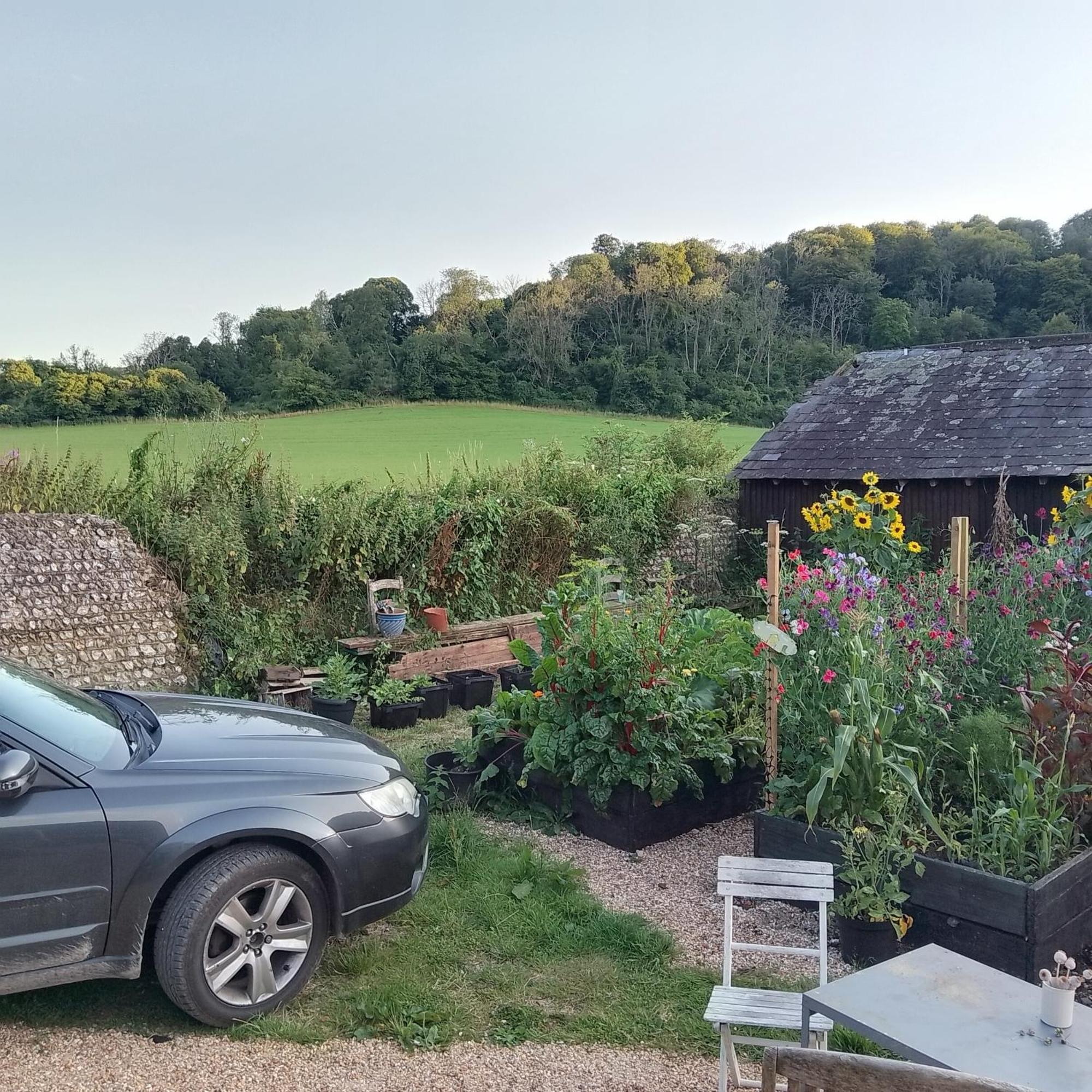 Up At The Barn Petworth Exterior foto